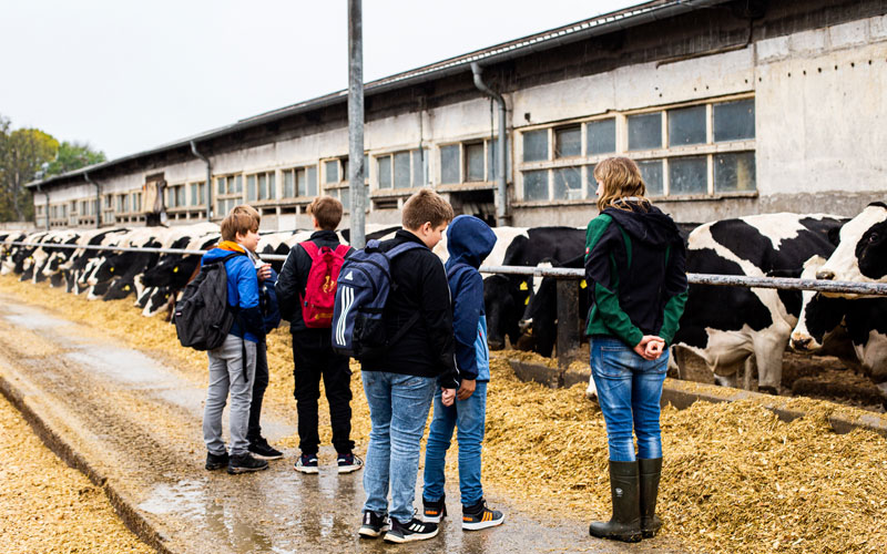 Schüler am Kuhstall