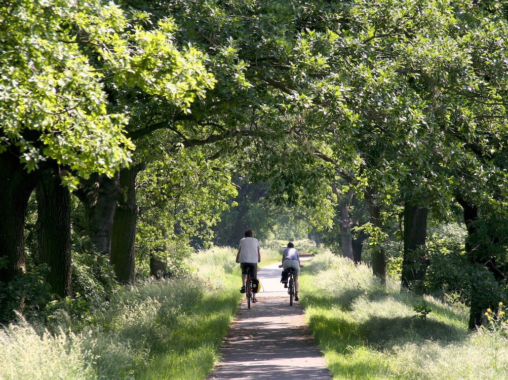 Radfahrer auf wunderschönem Radweg