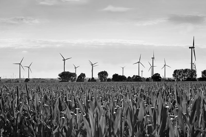 Energielandschaft Oderbruch